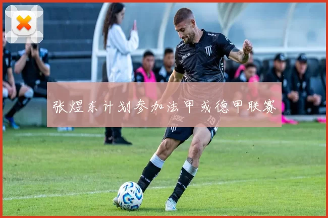 张煜东计划参加法甲或德甲联赛