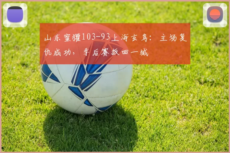 山东蜜獾103-93上海玄鸟：主场复仇成功，季后赛扳回一城