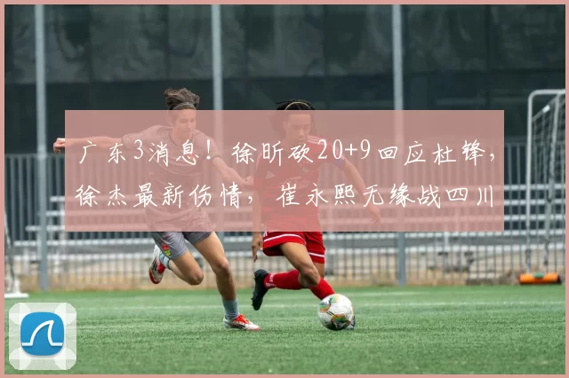 广东3消息！徐昕砍20+9回应杜锋，徐杰最新伤情，崔永熙无缘战四川_比赛_辽篮_内线