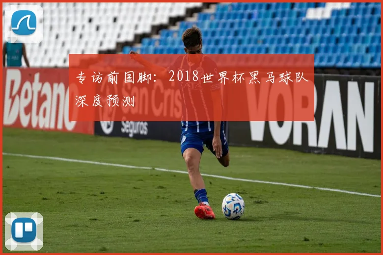 专访前国脚：2018世界杯黑马球队深度预测