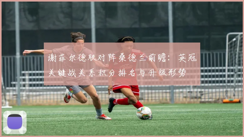 谢菲尔德联对阵桑德兰前瞻：英冠关键战关系积分排名与升级形势