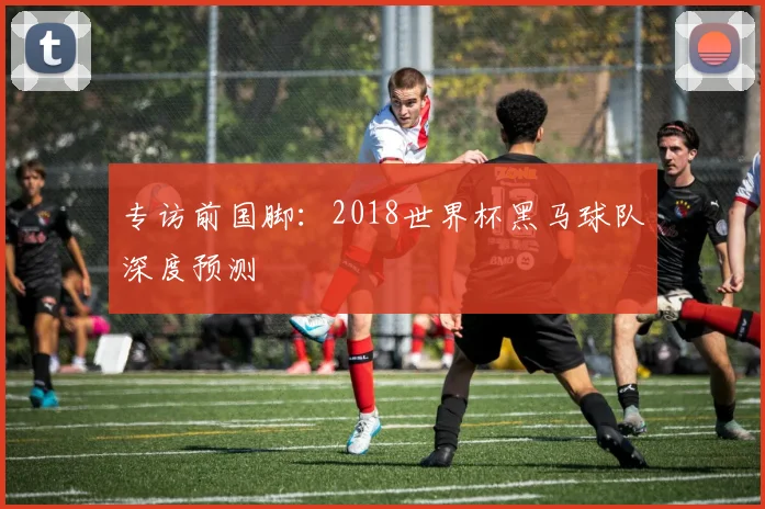 专访前国脚：2018世界杯黑马球队深度预测