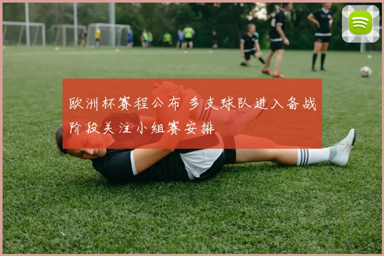 欧洲杯赛程公布 多支球队进入备战阶段关注小组赛安排