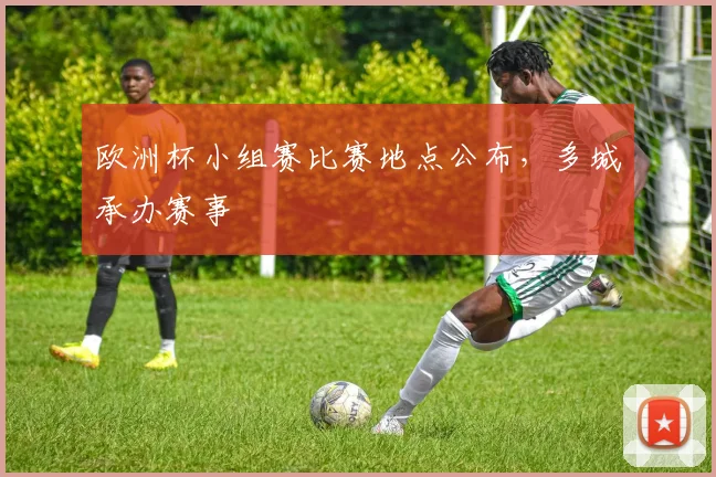 欧洲杯小组赛比赛地点公布，多城承办赛事
