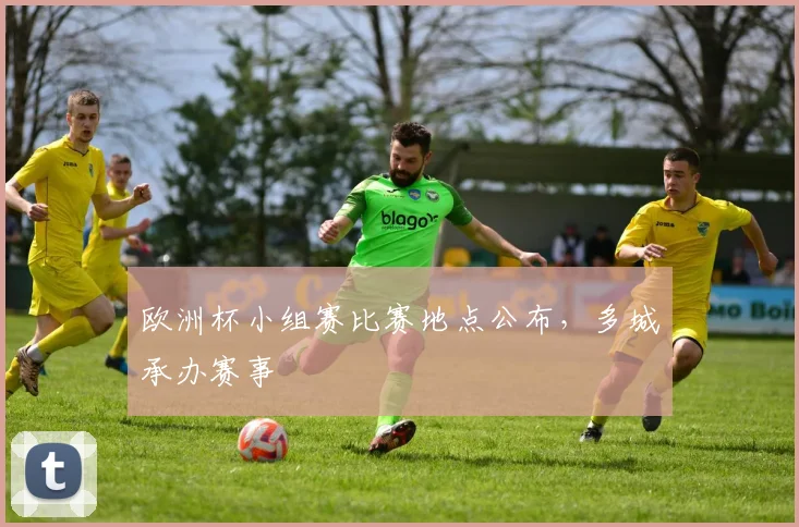 欧洲杯小组赛比赛地点公布,多城承办赛事